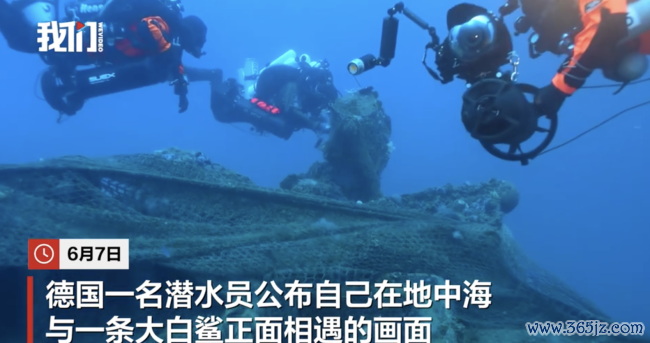 德国一潜水员在地中海拍到大白鲨 陌生画面具科学价值
