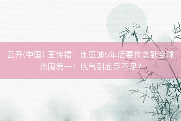 云开(中国) 王传福：比亚迪5年后要作念到全球范围第一！底气到底足不足？