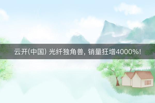 云开(中国) 光纤独角兽， 销量狂增4000%!