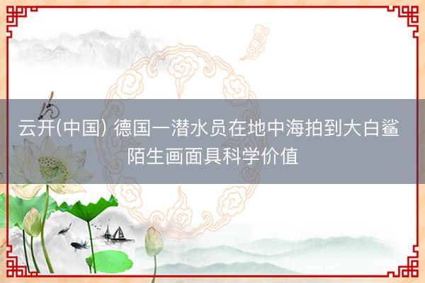 云开(中国) 德国一潜水员在地中海拍到大白鲨 陌生画面具科学价值