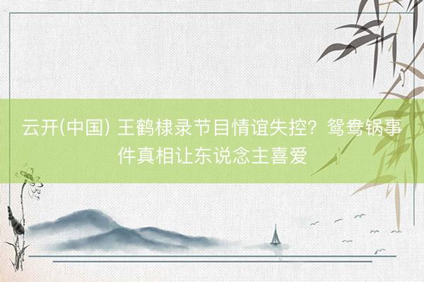 云开(中国) 王鹤棣录节目情谊失控？鸳鸯锅事件真相让东说念主喜爱