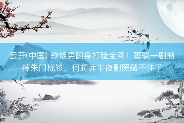 云开(中国) 软饭男翻身打脸全网！窦骁一剧撕掉朱门标签，何超莲半夜删照藏不住了